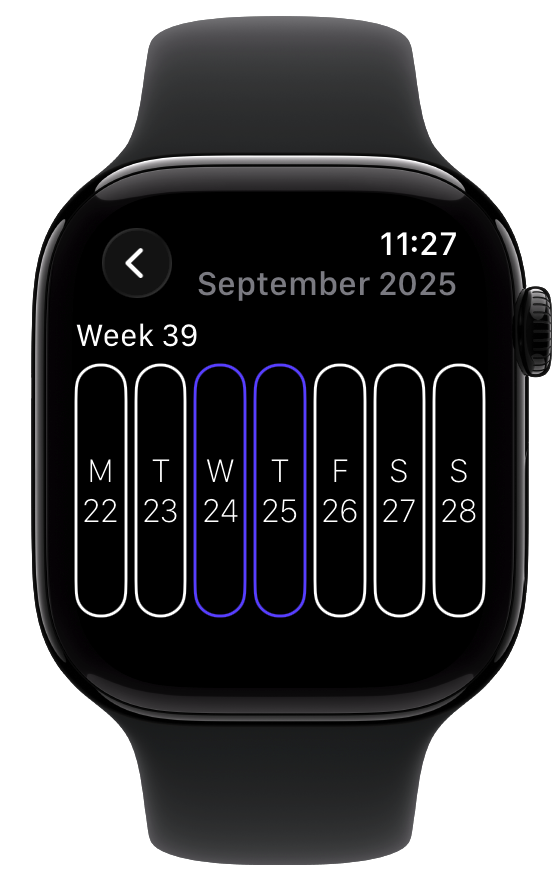 Apple Watch Screenshot PluralDiary